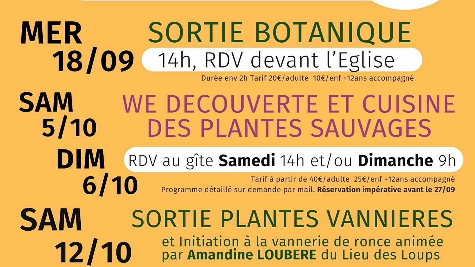 Atelier boissons plantes sauvages