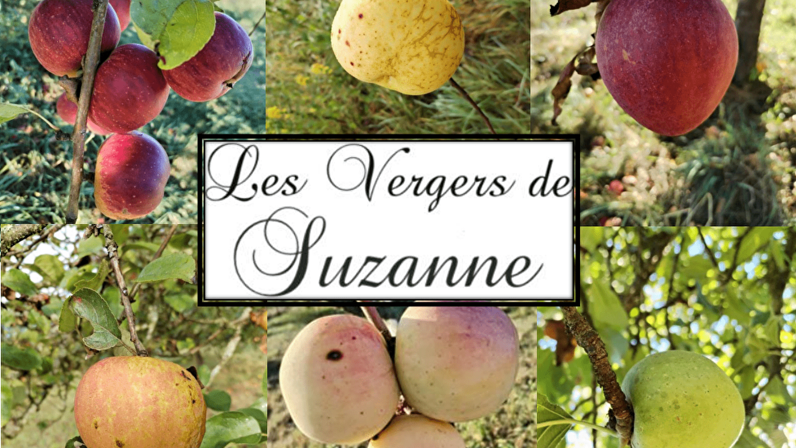 Les Vergers de Suzanne-Genin Antoine