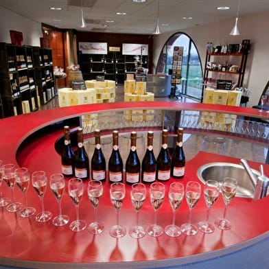 Veuve Ambal - Dégustation et visite du site de production, Vente des Vins 2024