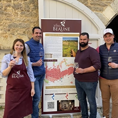 Dégustation des vins de Beaune