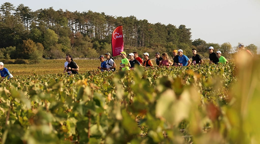 Marathon des Grands Crus