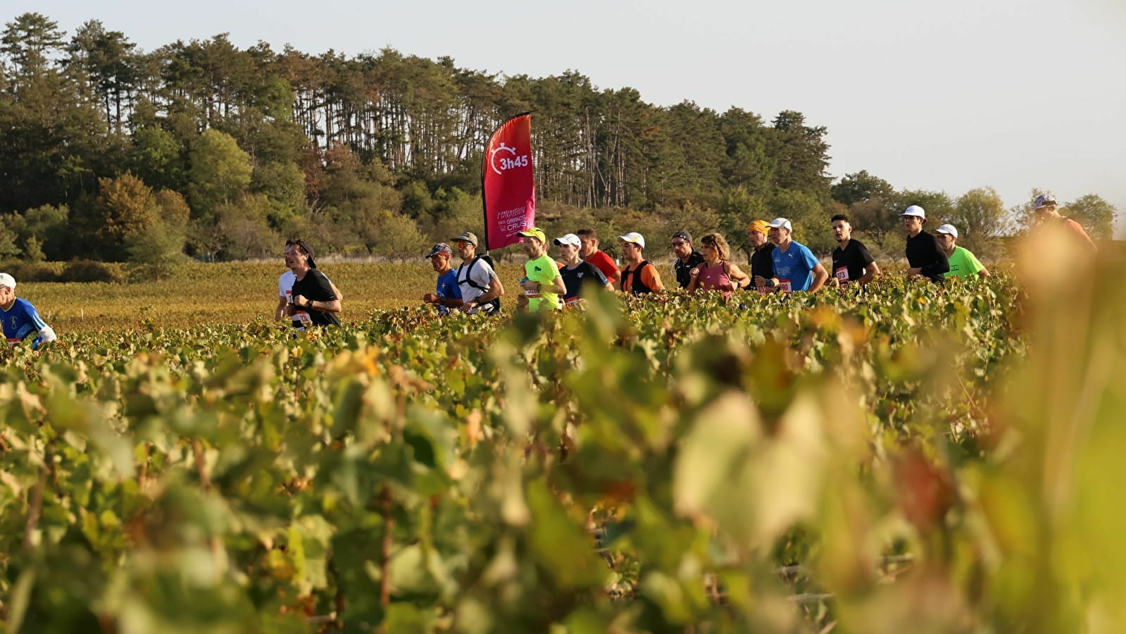 Marathon des Grands Crus 