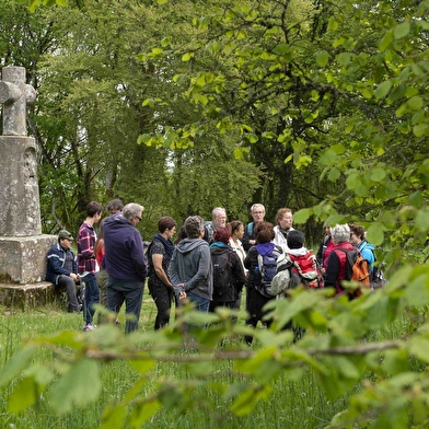 Journées européennes de l'archéologie à Bibracte 