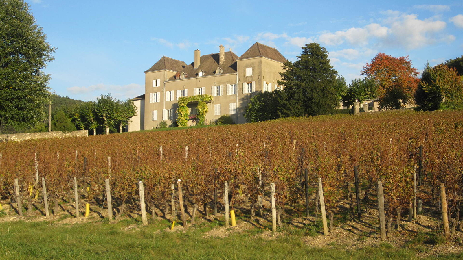 Balades gourmandes en Sud Bourgogne