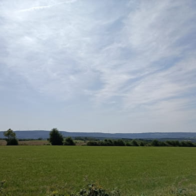 Circuit du Bois de Villars-Sous-Écot Monument du Maquis