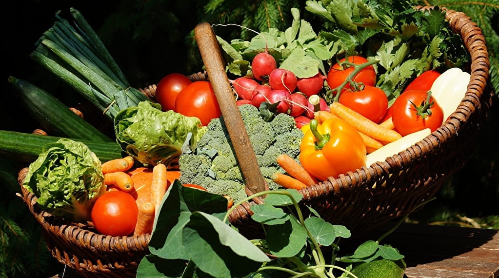 Marché hebdomadaire à Alligny-Cosne