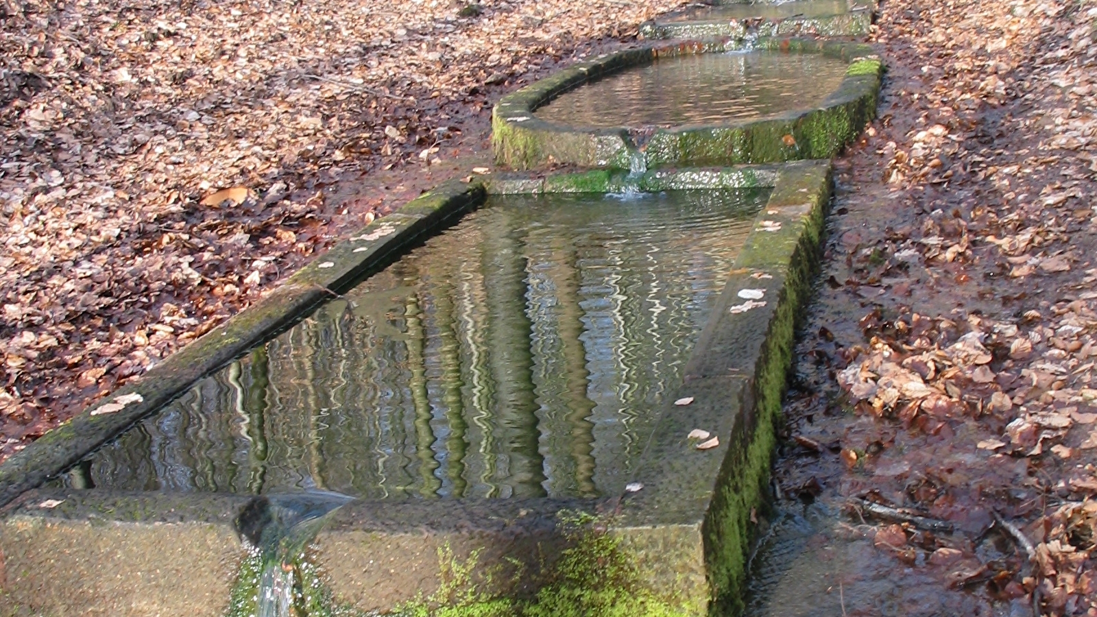 Circuit du Haut-Bois