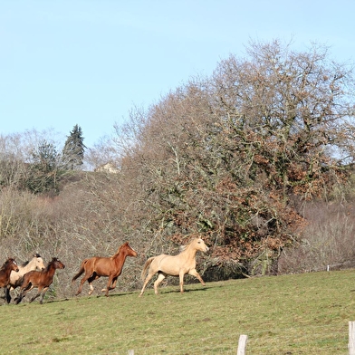 Domaine de Pondole