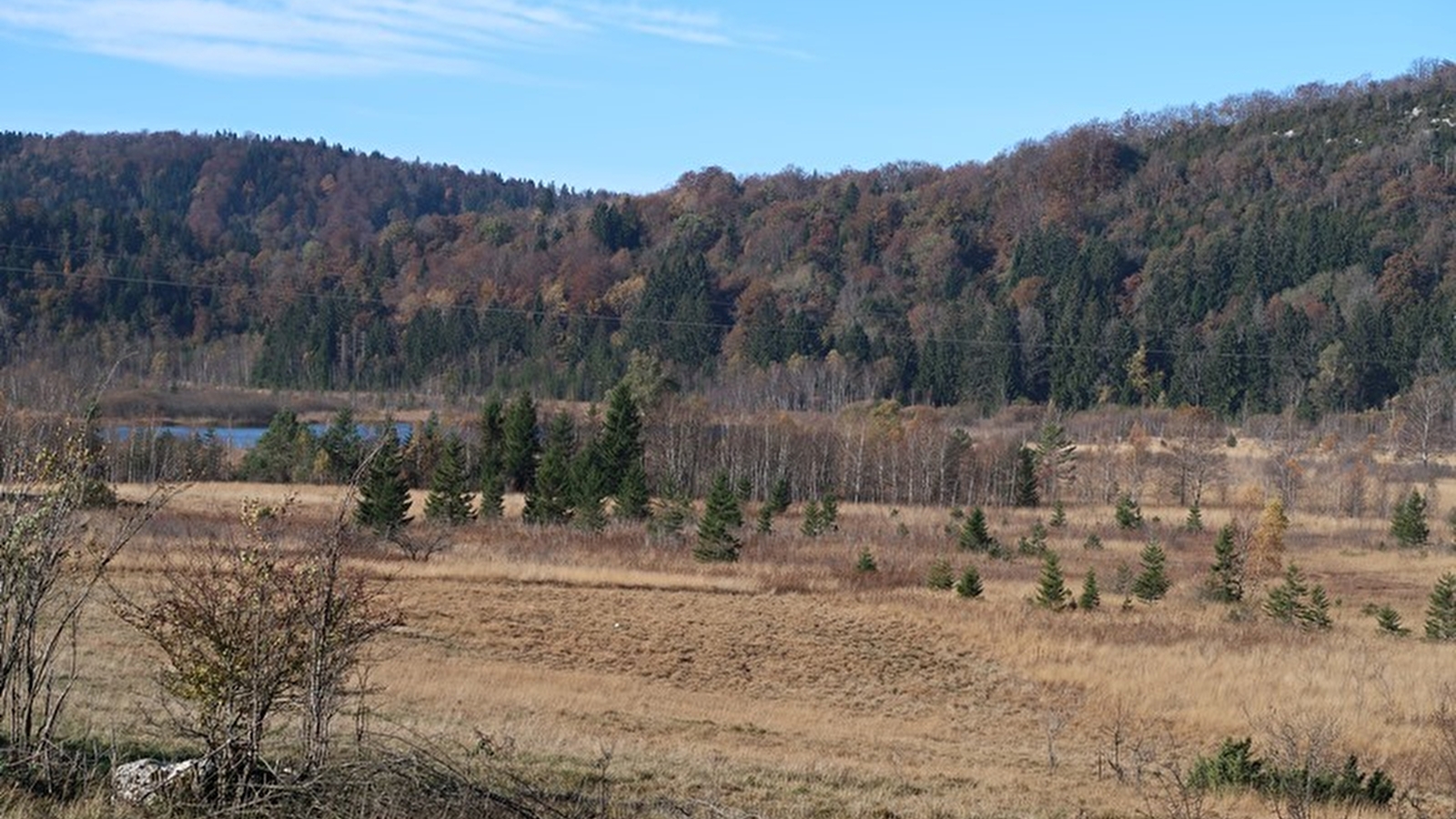 Lac de Viry