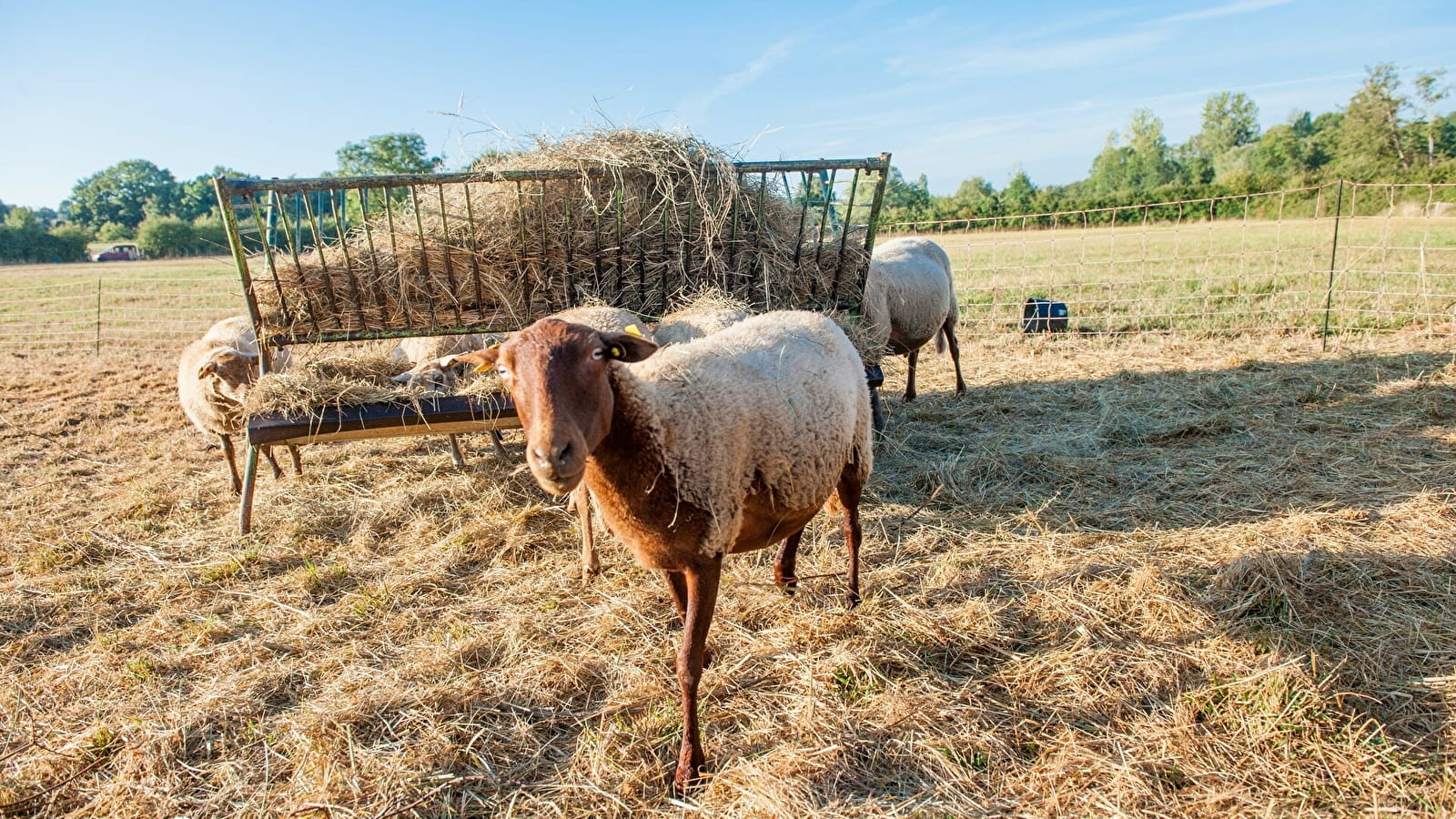 Ferme de la Condemine