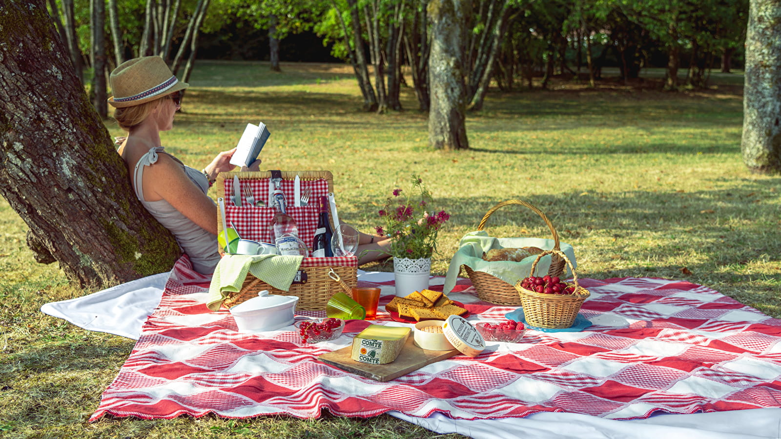 Fantastic Picnic en Côte-d'Or