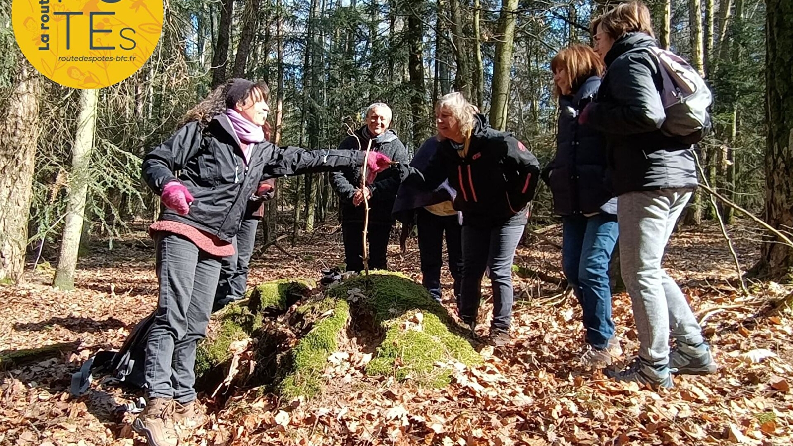 Bain de forêt