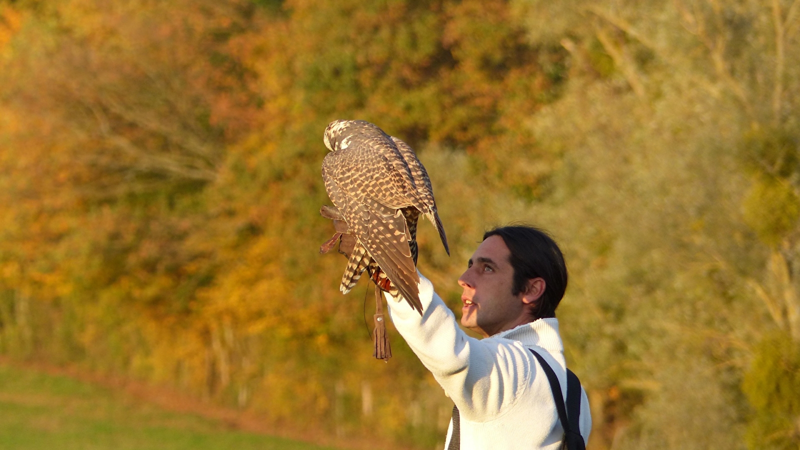 Balade avec les rapaces de Davy Lacroix