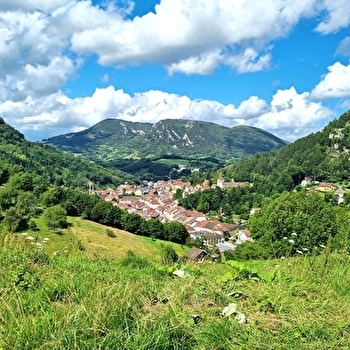 SALINS LES BAINS - SALINS-LES-BAINS