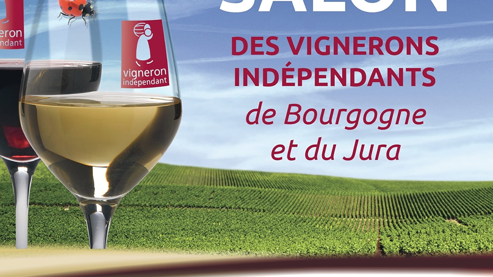 Salon des vignerons indépendants