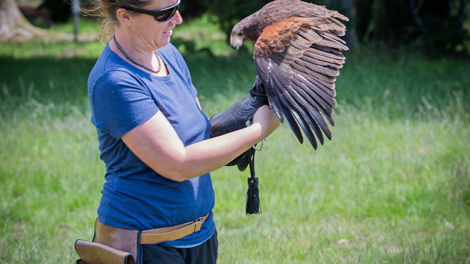 L'Echappée Morvan d'Ailes - Randonnée insolite