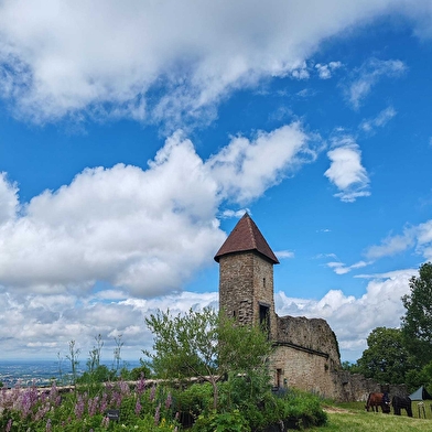 Visites guidées  - portes ouvertes au Château de Chevreaux