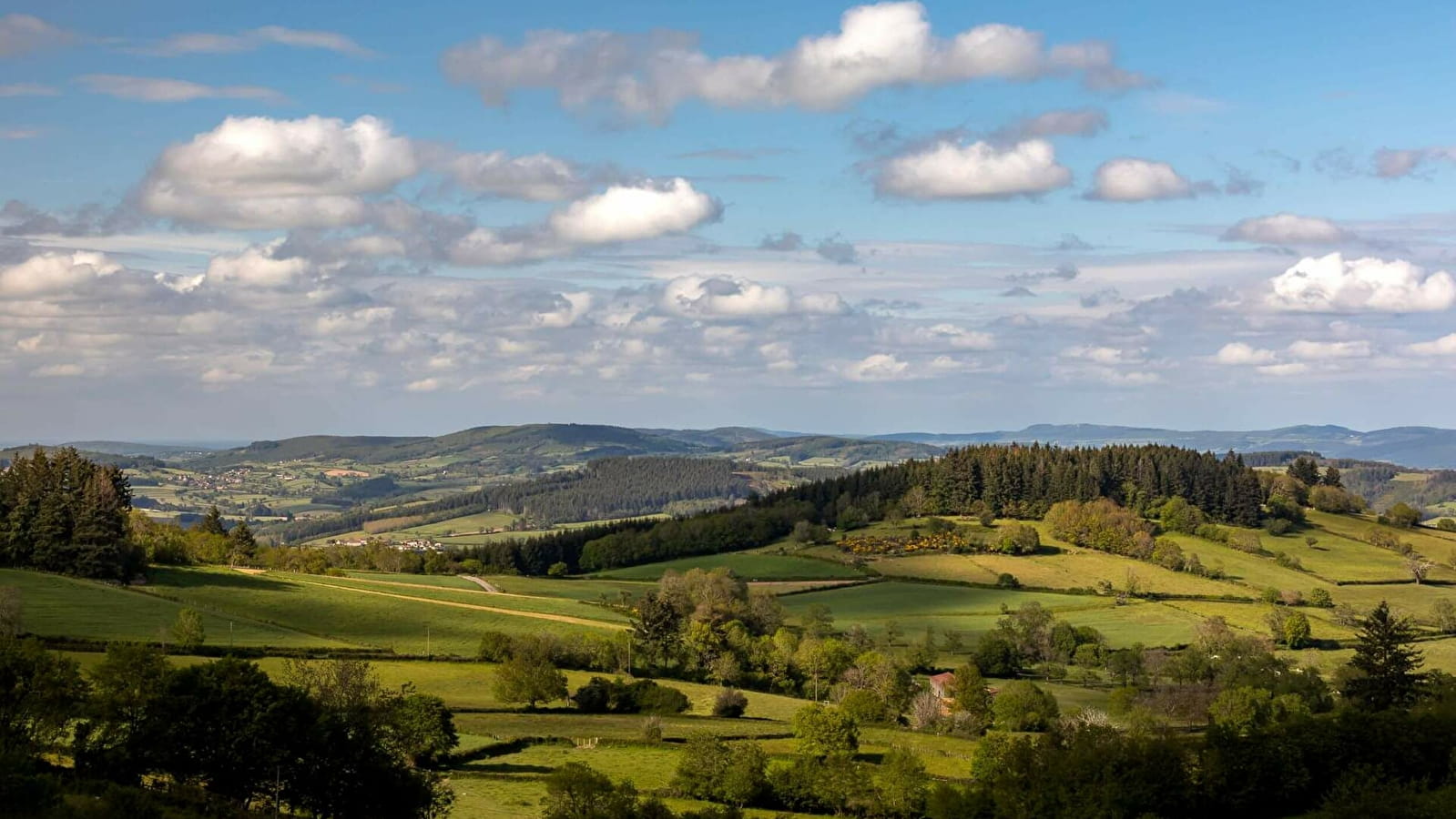 Les crêtes boisées du Mâconnais