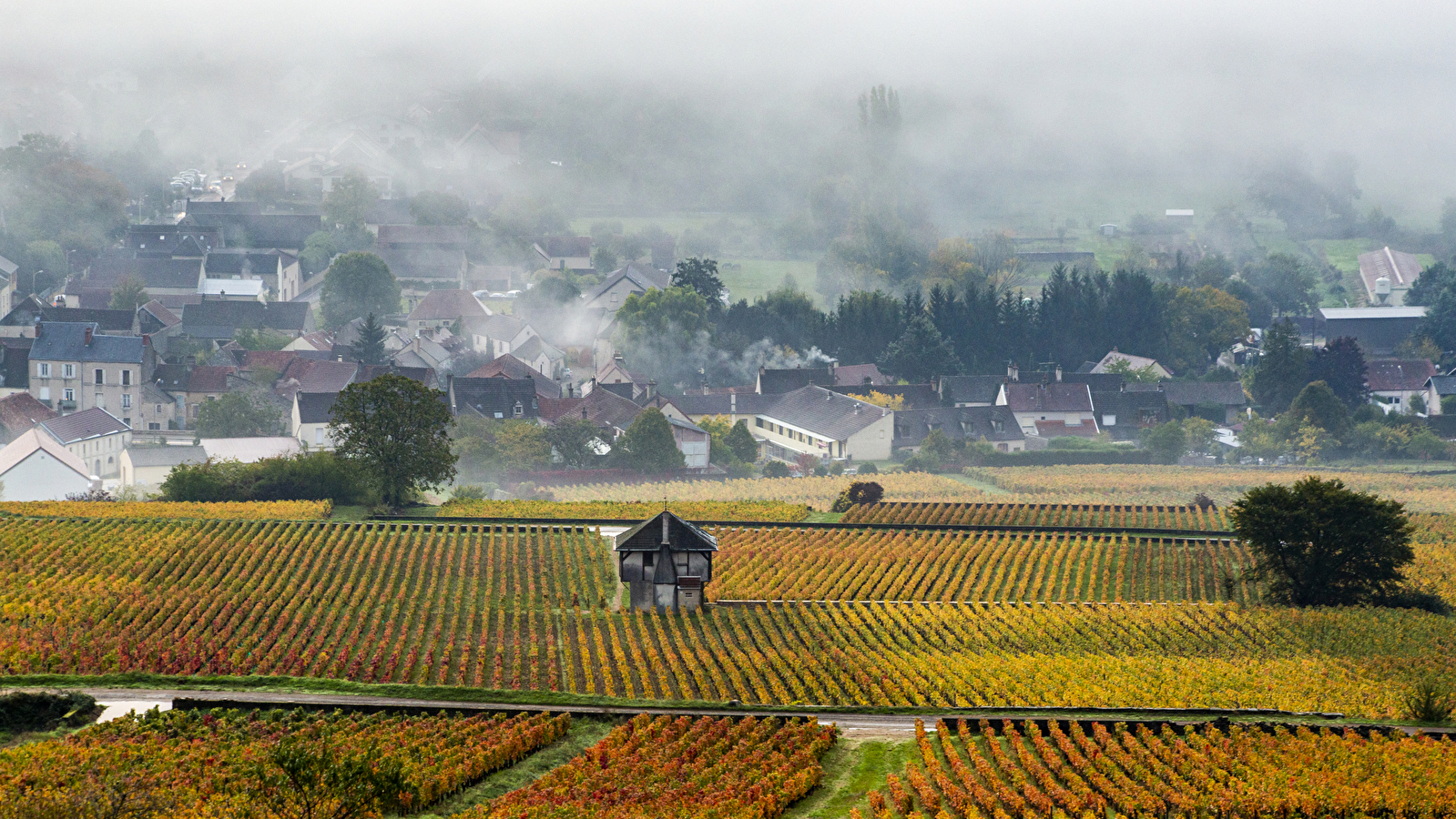 Chemins de Bourgogne - Journée en Côte de Beaune et Côte de Nuits