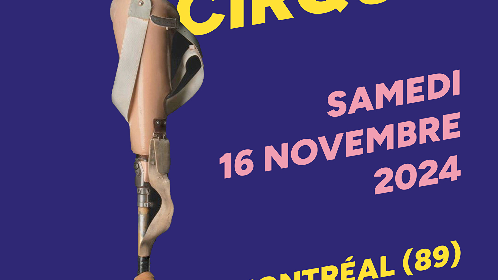 Nuit du Cirque - soirée artistique et festive