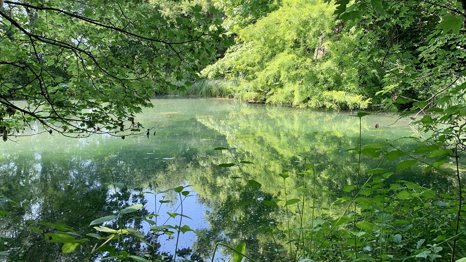 Chalet au bord de l'eau