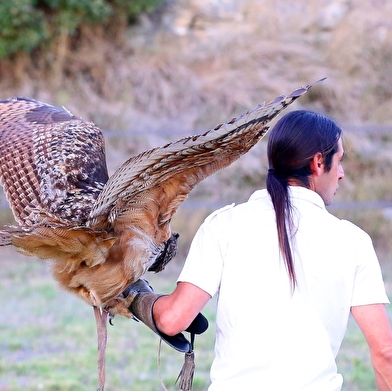 Balade avec les rapaces de Davy Lacroix