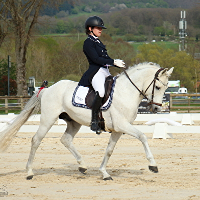 Open BFC  - Concours Hippique 