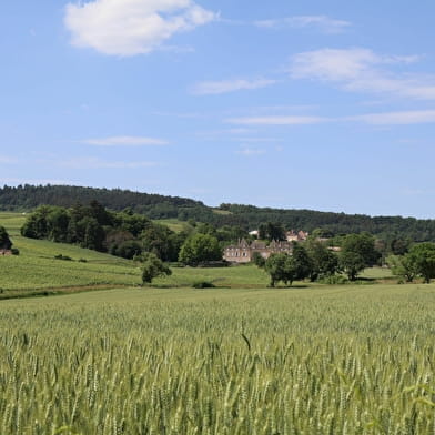 Des carrières de la Lie à la Solitude - La Roche-Vineuse