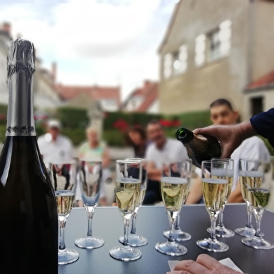 Visite guidée de Châtillon-sur-Seine & dégustation de Crémant du Châtillonnais