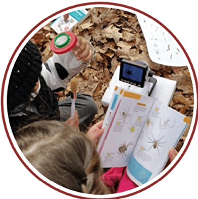 Les activités « nature & science »