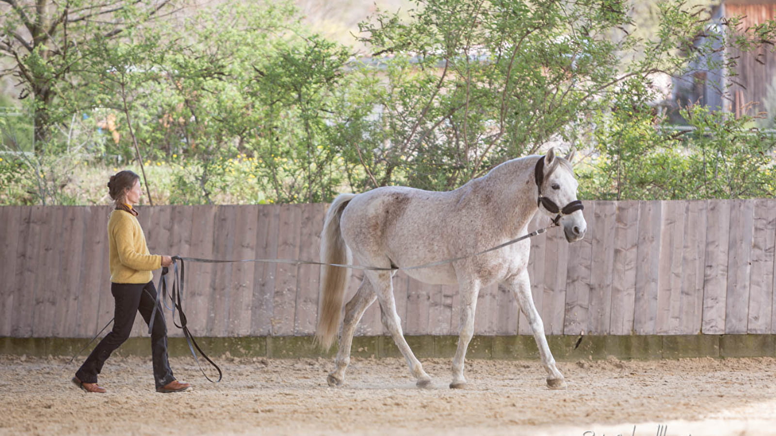 VOYAGE AU PAYS DU CHEVAL