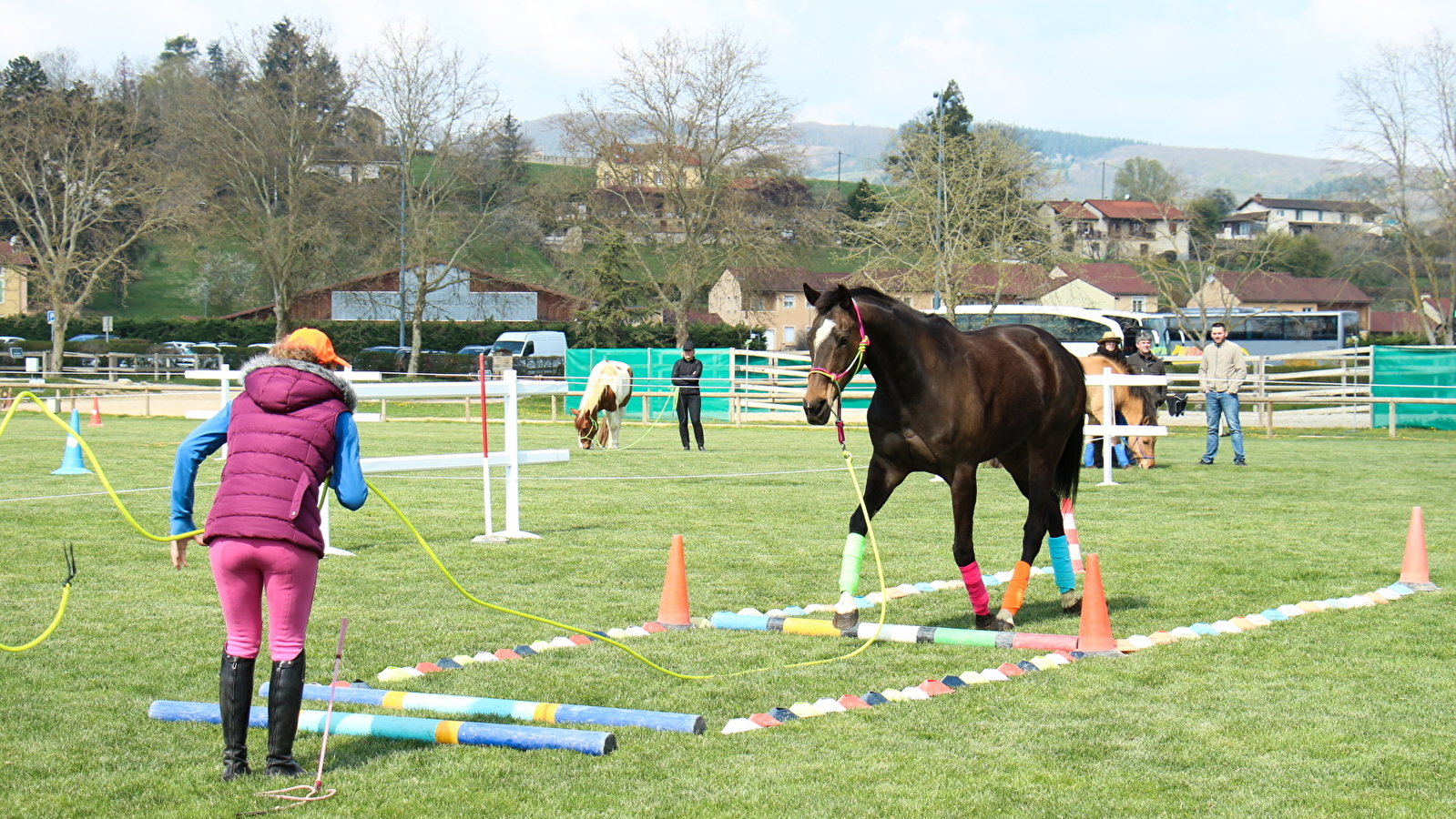 Open BFC  - Concours Hippique 