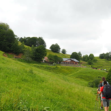 Au coeur des Vosges du sud : les crêtes par le Ballon d'Alsace