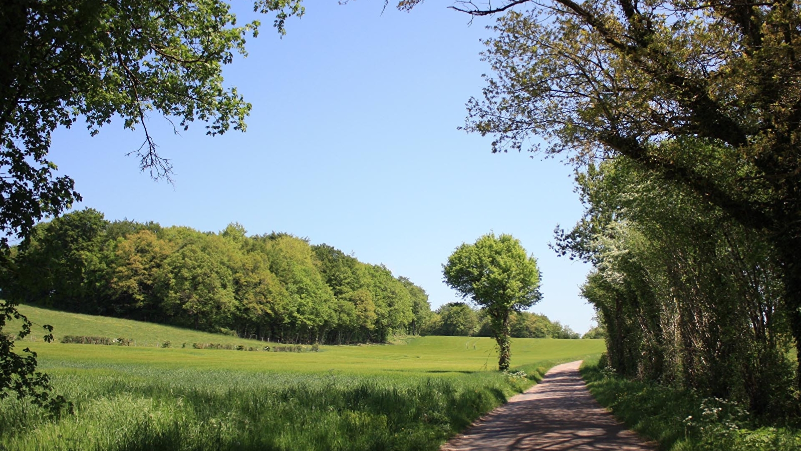 Circuit des roches de la Digeanne