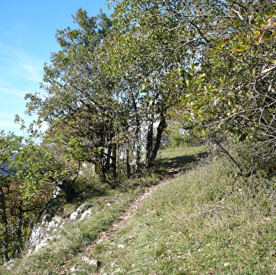 La Fente de Babre 