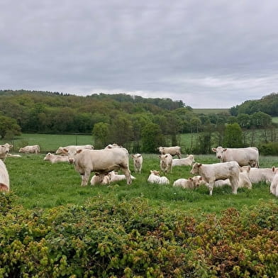 Domaine de Vauvelle