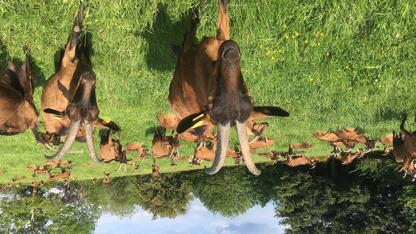 De Ferme en Ferme