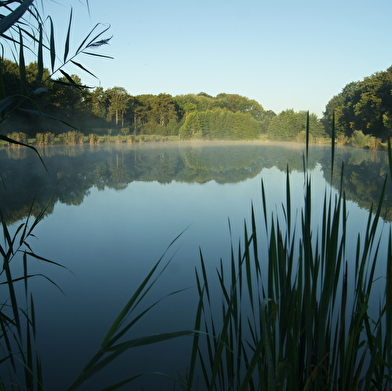 Etang de la Galette