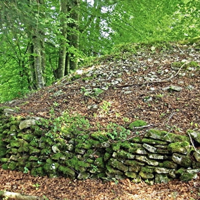 Visites guidées ArchéoJuraSites