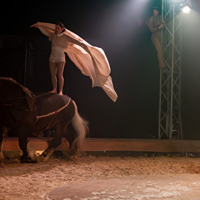 Spectacle Équestre de Noël 