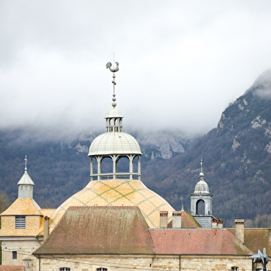 SALINS LES BAINS