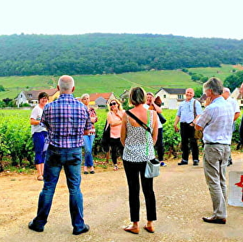 clos de Bourgogne, Master class découverte' Oenologie et dégustation'  des vins de Bourgogne  - Couchey