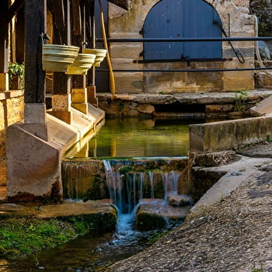 STAGE photos au coeur du Pouilly-Fuissé : Couleurs et lumières automnales en Mâconnais