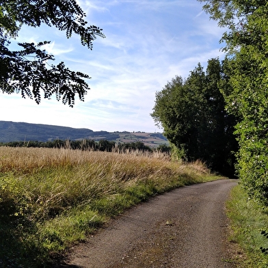 Des vignes et des champs