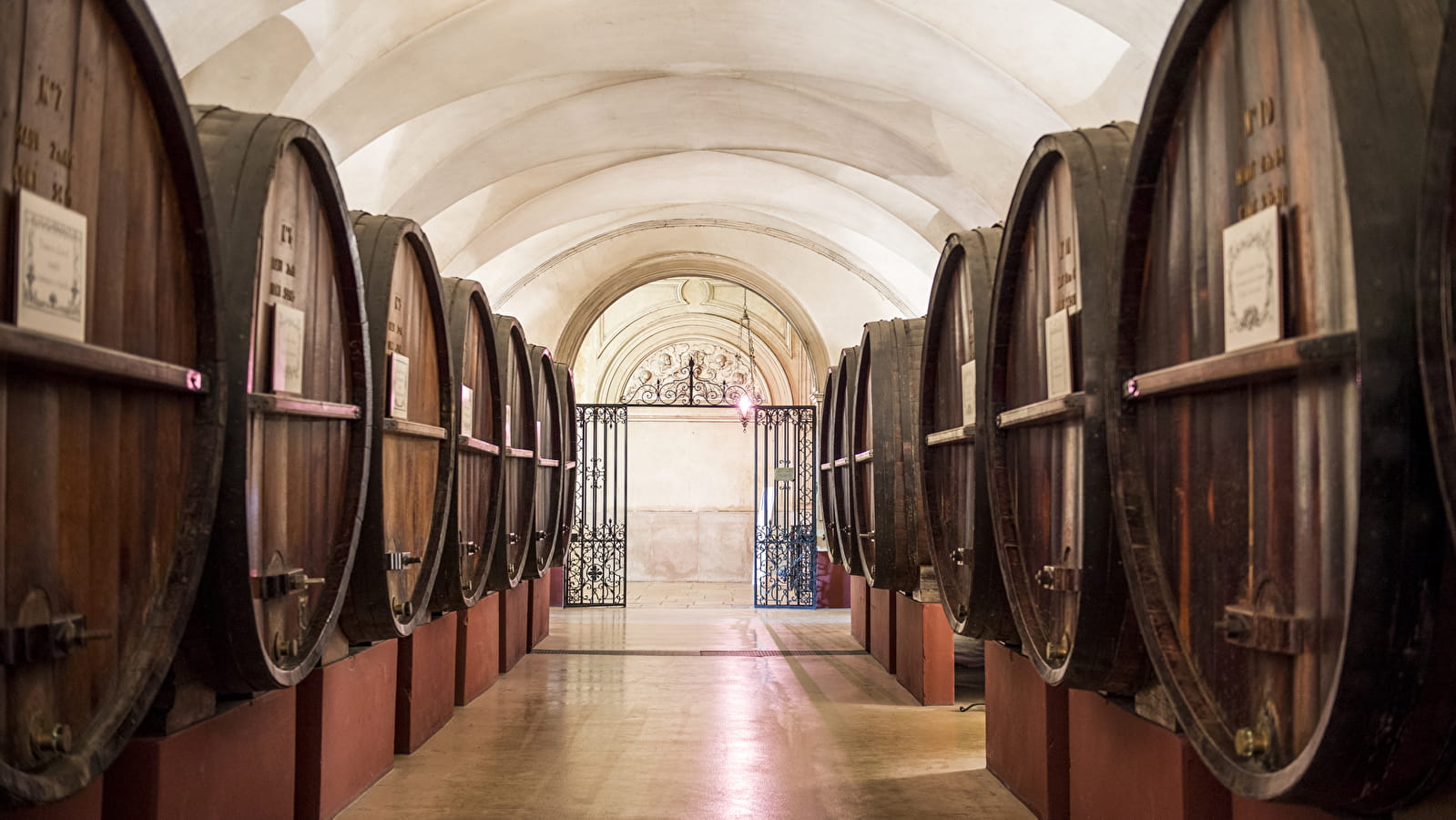 Caves Patriarche Père & Fils - Visite Dégustation Liberté 