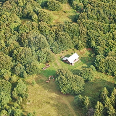 Au coeur des Vosges du sud : les crêtes par le Ballon d'Alsace