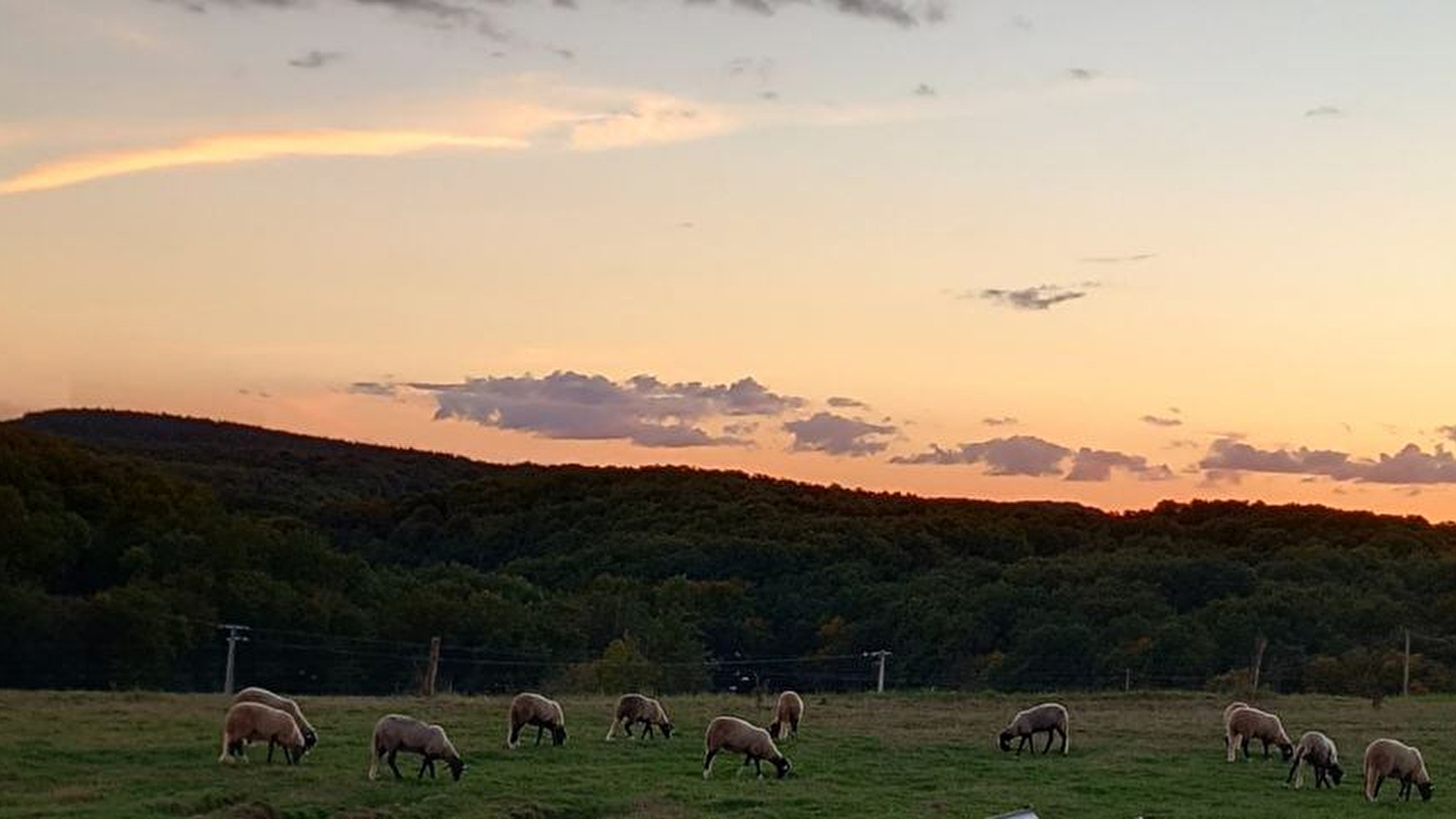 La ferme de Morentru