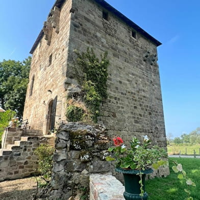 Château de Savigny-le-Vieux