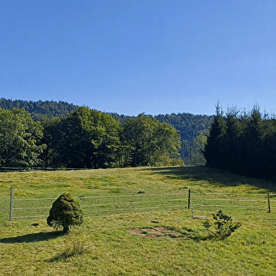 Au galop des 1000 étangs