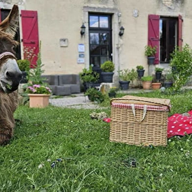 Les Olympi’ Ânes du Fantastic Picnic de Saint Germain le Rocheux